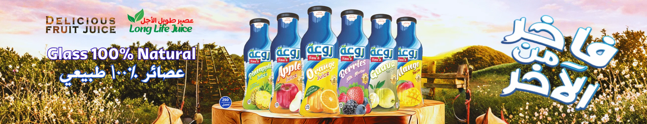 Premium Juices Glass